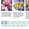 Artist Garden Magazine