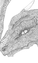 Dragon of Circles