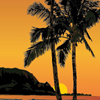 Series of Kauai-themed commemorative poster illustrations to use as gifts for president's circle members