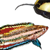 Illustration series to accompany speaker name badges and listings in convention program book
